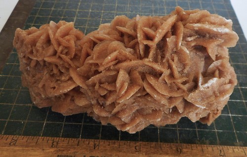 Desert rose selenite natural - desert,