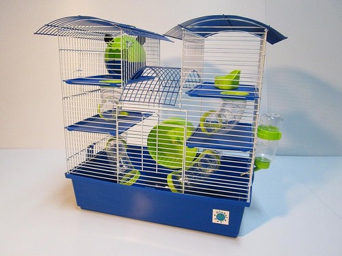Abby large hamster - hamster, 3