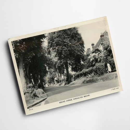 Print vintage surrey - print,