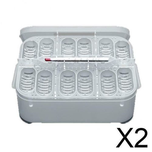 Holes reptile egg - reptile,