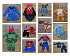 Large Bundle (11 items): Dress Up Kids Costumes (GC) 3-6 yo. Halloween, Book Day