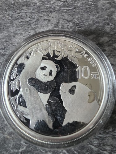 2021 china panda yuan 30g - 2021,