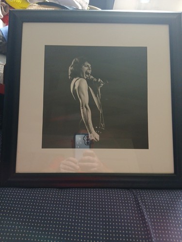 Freddie mercury print not - print,