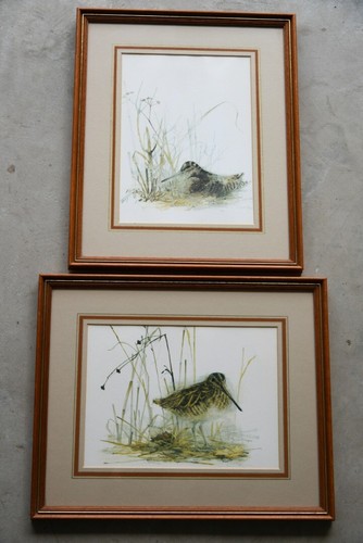 Pair mads stage - mads, prints