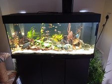 Jewel Tank With Decor And Fish  For Sale