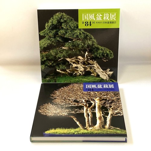 Kokufu bonsai exhibition 84th - ,