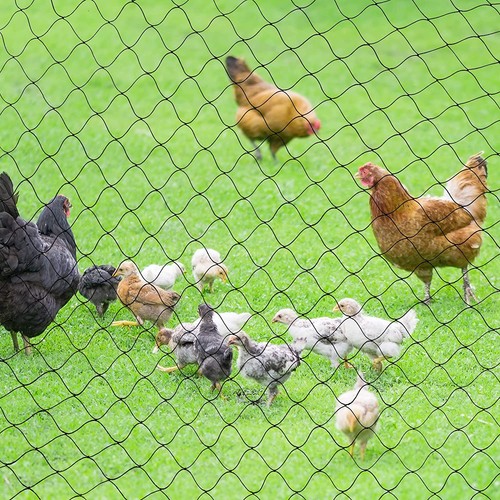 Garden netting heavy duty - netting,