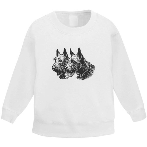 Scottish terrier couple - terrier, couple'