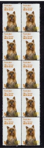 Australian silky terrier - australian,