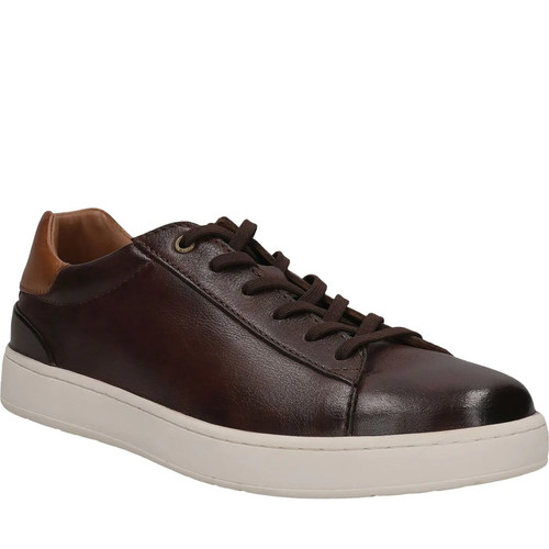 Salamander trainers brown - trainers,