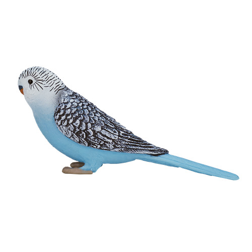 Mojo budgerigar blue cute - blue,
