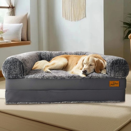 Foldable human dog bed - dog,