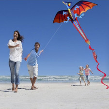 Pterosaur 3D Dragon Kite Good