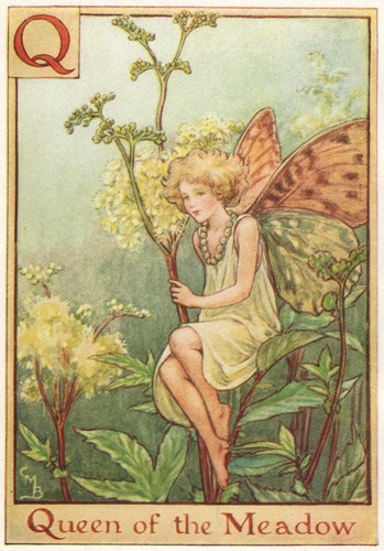 Queen the meadow fairy - q,