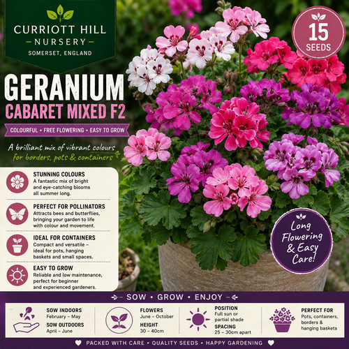 Geranium cabaret mixed - mixed, f2