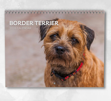Border Terrier Calendar 2026: Monthly Wall Calendar with Notes, opens to A3 Size