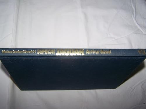 Sepecat jaguar modern - jaguar, combat