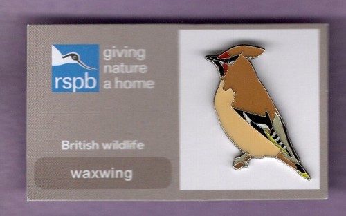 Rspb pin badge waxwing - waxwing,
