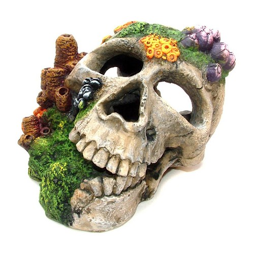 Aquarium tank ornament - tank,