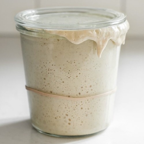Organic strong white - organic, (wheat