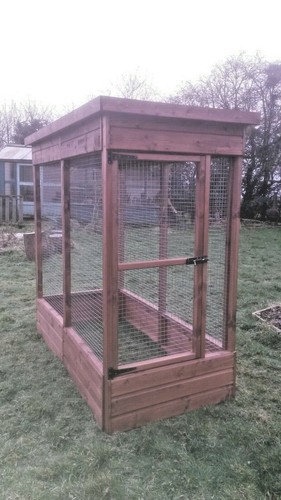 Garden display bird - aviary,