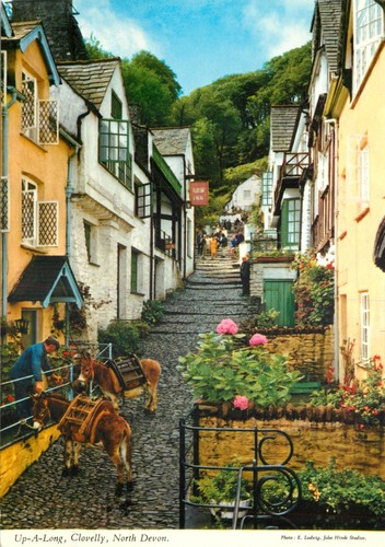 C19532 long clovelly - c19532,