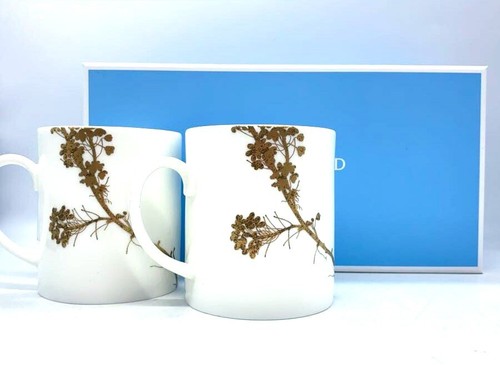 Wedgwood vera wang pair coffee - vera,
