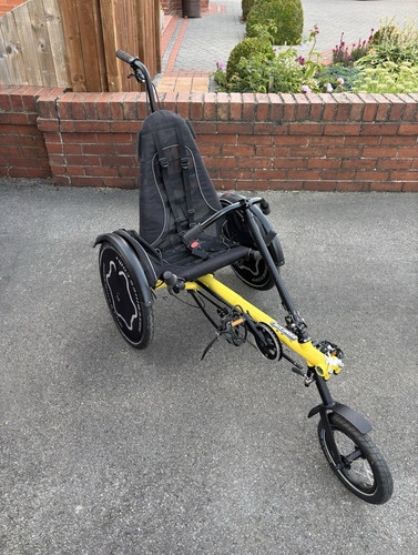 Hase trets child - trets, recumbent