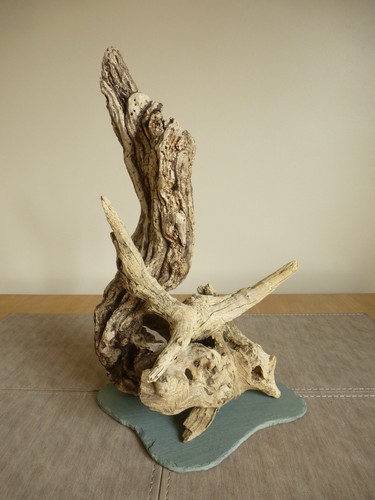 Driftwood sculpture 33cm high - sculpture,