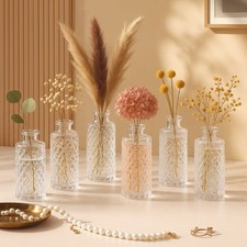 Set of 6 Glass Bud Vases