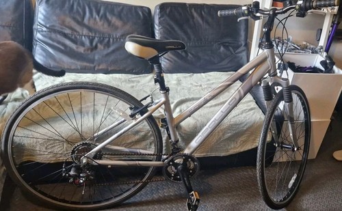 Apollo cafe hybrid front - apollo,