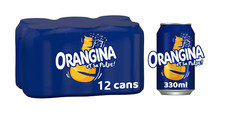 Orangina Sparkling Fruit Drink