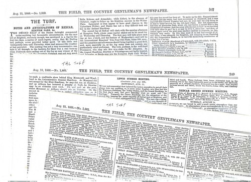 Large pages horse racing - horse,