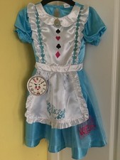Alice in Wonderland Fancy