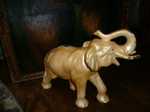 Gorgeous large old elephant - gorgeous,