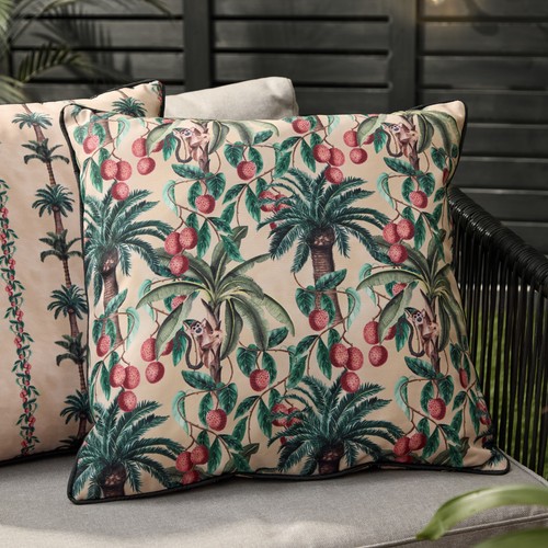 Wylder monkey palm outdoor - palm,