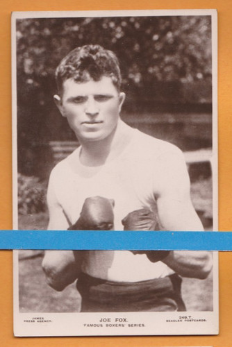 Boxing joe fox - fox.,