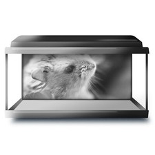 Fish tank background 90x45cm - fish,