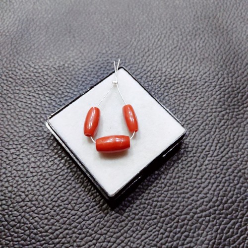 Italy mediterranean red coral - mediterranean,