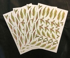 MAGNOLIA DREAMS A4 CHARISMA