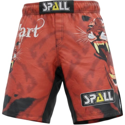 Boxing muay thai shorts fury - shorts,