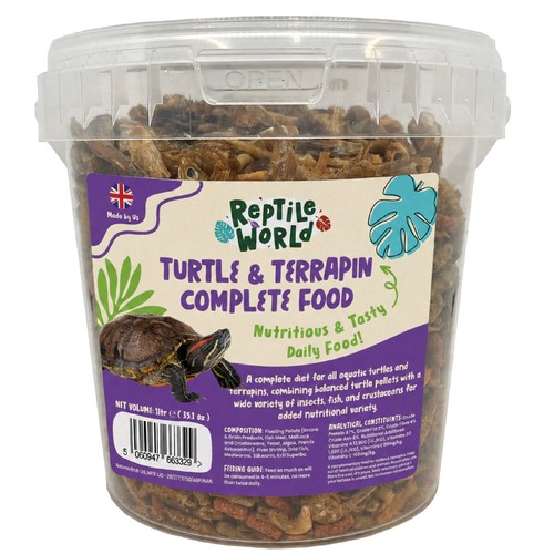 Reptile world turtle - reptile,