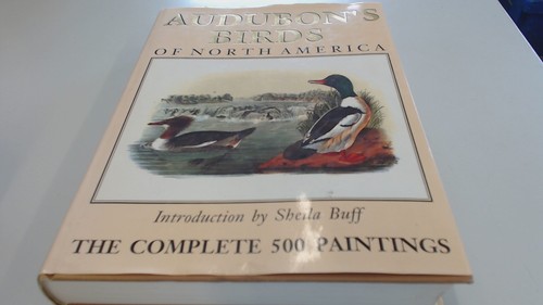 Audubon birds north - birds,