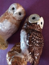 Cute 9 cm Beswick Owls Looking