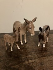 3 Beswick Donkeys Graduating