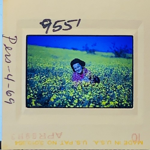 Vintage 1969 kodachrome 35mm - kodachrome,