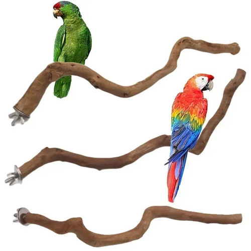 Parrot stand natural bird - stand,