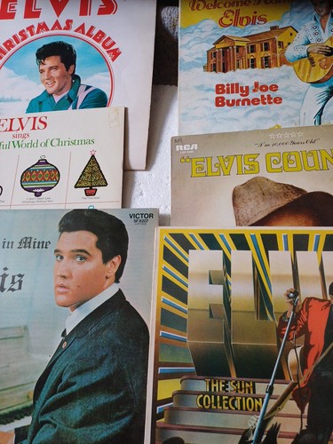 Elvis presley vinyl - elvis,