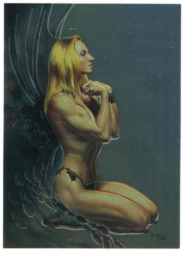 Wildkat 1996 comic images - comic,