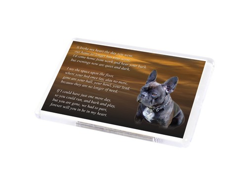 French bulldog dog - french, fridge